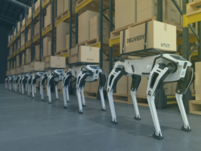 Robotic dogs in a warehouse as an illustration of artificial intelligence and automation